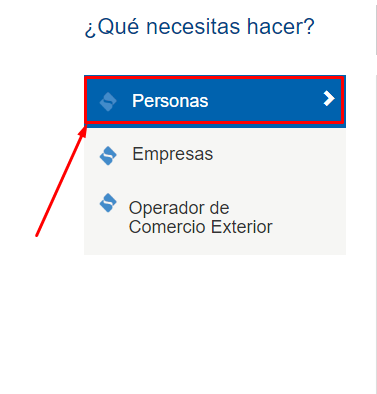 tercer paso paso para emitir recibo por honorarios electrónicos
