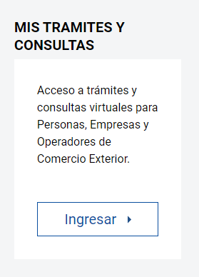 segundo paso para emitir recibo por honorarios electrónicos